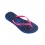 Havaianas Malibu Blue 